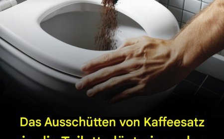 Das Einfüllen von Kaffeesatz in die Toilette löst eines der größten Probleme in Toiletten