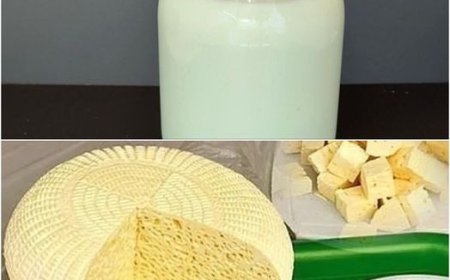 Aus einer 3-Liter-Dose Milch mache ich ein Kilo Käse: lecker, natürlich und ohne Chemie