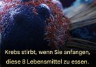 8 wirksame Anti-Krebs-Lebensmittel, die Sie in Ihre Ernährung aufnehmen solltenn: