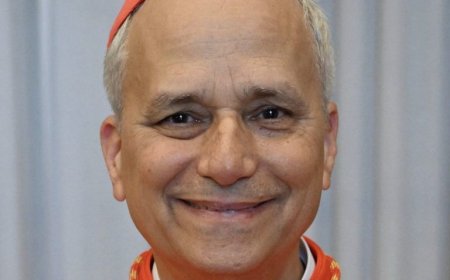 Wer ist Robert Francis Prevost, der später Leo XIV. wurde, der Amerikaner, der zum Nachfolger von Papst Franziskus auserwählt wurde?