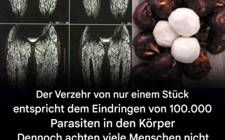 Schon ein einziger Bissen ist schädlich, dennoch essen viele ihn ohne Bedenkenn