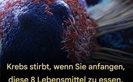 8 wirksame Anti-Krebs-Lebensmittel, die Sie in Ihre Ernährung aufnehmen solltenn: