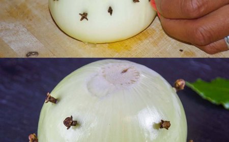 Meine Großmutter steckt immer Nelken in eine Zwiebel: hier ist der Grund