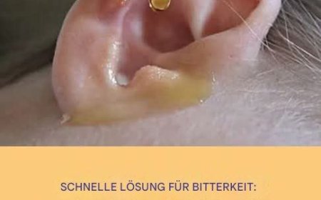 Geben Sie 2 Tropfen in Ihr Ohr und Sie werden wie zuvor hören. Gewinnen Sie Ihr Gehör zurück