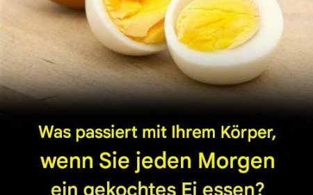 Wie viele Eier sollten Sie pro Woche essen? Ein Ernährungsratgeber (Aktualisiert 2025)