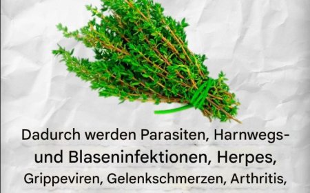 Rezepte, Heilmittel und mehr