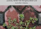 Boah! Das wusste ich nicht