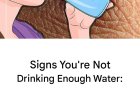 What Happens to Your Body When You Don’t Drink Enough Water