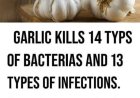 Garlic: The Ancient Superfood for Modern Health