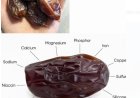 The Incredible Benefits of Dates: A Nutrient-Packed Superfood