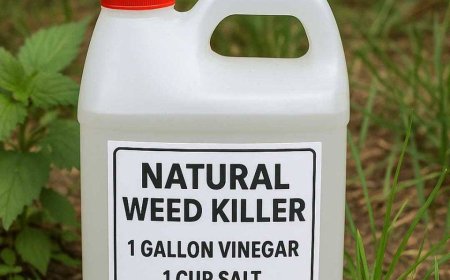 My nana swears by this natural weed eliminator recipe. Here’s how it works