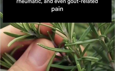 How to grow this plant abundantly at home.