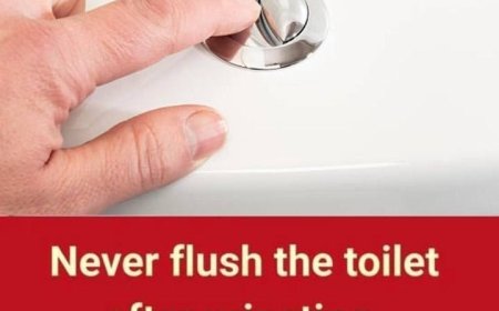 Why You Shouldn’t Flush Every Single Time