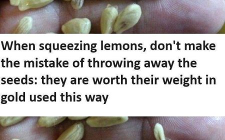 When squeezing lemons, don’t make the mistake of throwing away the seeds: they are worth their weight in gold used this way