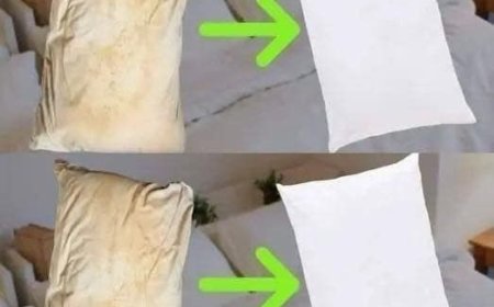 Here’s how to clean dirty bed pillows to leave them white and smelling sweet.