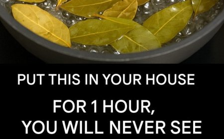 Say goodbye to flies, mosquitoes and cockroaches boiling these leaves