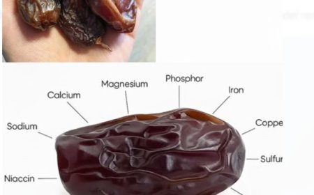 The Incredible Benefits of Dates: A Nutrient-Packed Superfood