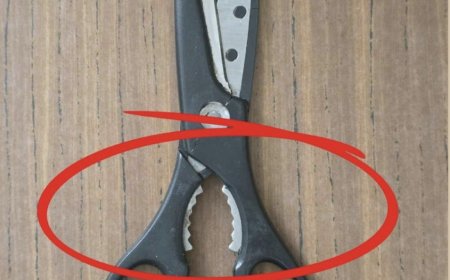 What Is That Weird Toothed Part on Kitchen Scissors For? (Spoiler: It’s a Secret Multi-Tool!)
