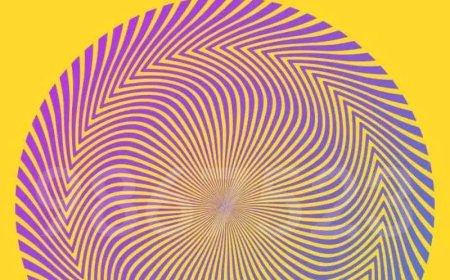 Can You Spot the Hidden Number in This Optical Illusion?