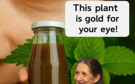 Oregano: The Golden Herb for Eye Health