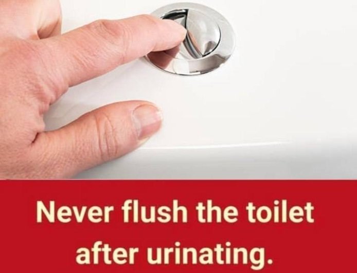 Why You Shouldn’t Flush Every Single Time