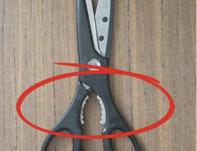 What Is That Weird Toothed Part on Kitchen Scissors For? (Spoiler: It’s a Secret Multi-Tool!)