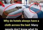 Why Do Hotels Always Place a Cloth Across the Bed?