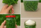 Parsley, the chef’s secret to keeping it fresh for months: it doesn’t rot