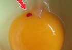 Is It Safe to Eat Eggs With Red Spots? A Clear Guide for Everyday Cooks