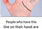 Palmistry and the Interpretation of the Lines in the Palms of the Hands