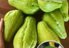 Benefits and Uses of Chayote Juice: A Refreshing Boost for Your Health