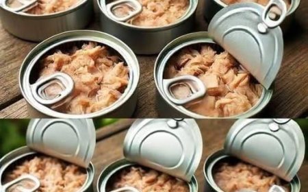 Don’t throw away tuna cans, at home they are worth their weight in gold: how to reuse them