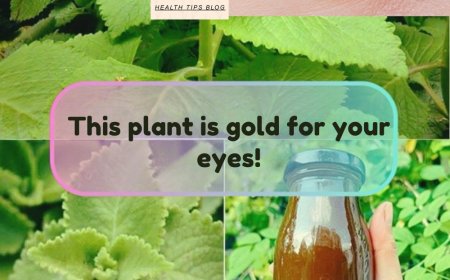 Cuban Oregano (Orégano Orejón) for Eye Health: Gentle Home Remedies