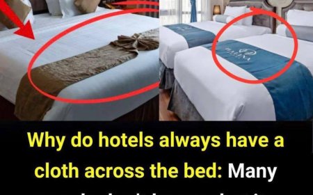 Why Do Hotels Always Place a Cloth Across the Bed?