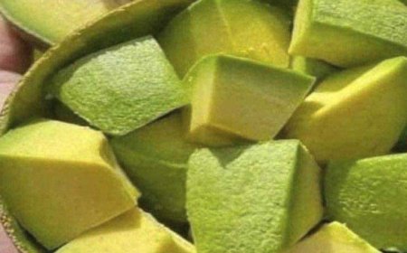 Doctors reveal that eating avocados causes