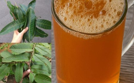 The four medicinal leaves: Avocado leaves, mango leaves, bay leaves, and guava leaves