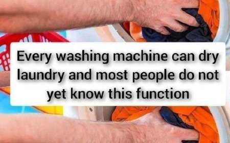 Every washing machine can dry laundry and most people don’t know about this function