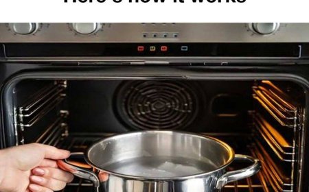 Effortless Oven Cleaning: The Water and Ammonia Method