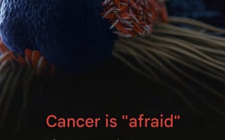 Cancer is "afraid" of these 8 foods.