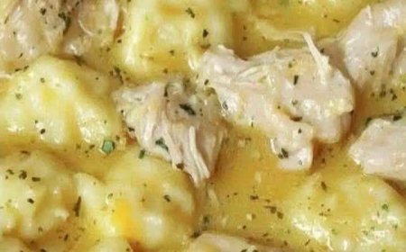 Homemade Chicken and Dumplings