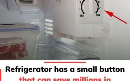 Save a ton of money on electricity