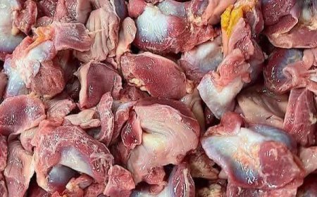 Did You Know That Eating Chicken Gizzards Can Benefit Your Health