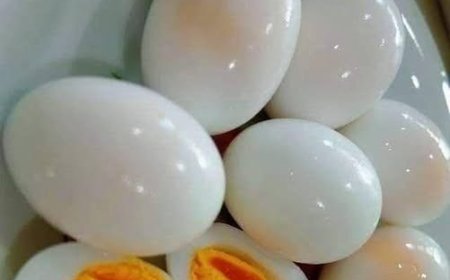 Eggs & Brain Health: The Science Behind Memory, Choline, and Cognitive Support