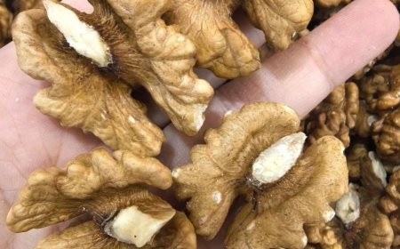 Doctors reveal that eating walnuts causes