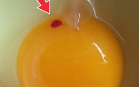 Is It Safe to Eat Eggs With Red Spots? A Clear Guide for Everyday Cooks
