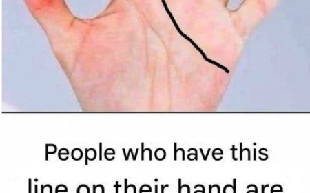 Palmistry and the Interpretation of the Lines in the Palms of the Hands