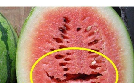 If You Open a Watermelon and See This, Throw It Out