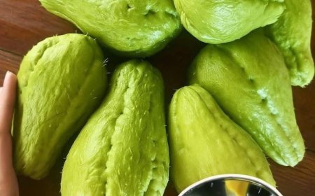 Benefits and Uses of Chayote Juice: A Refreshing Boost for Your Health