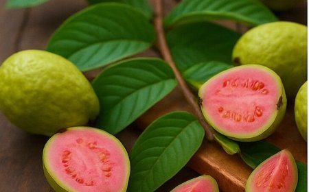 How to use guava to treat eye problems