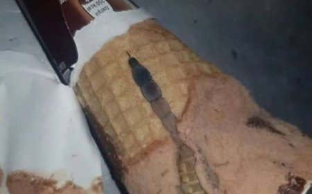My Daughter Found Something Terrifying Hidden Inside Her Chocolate Ice Cream